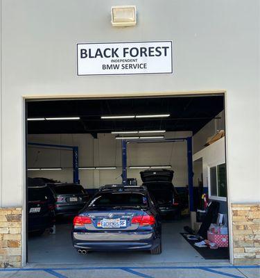 Black Forest Independent BMW