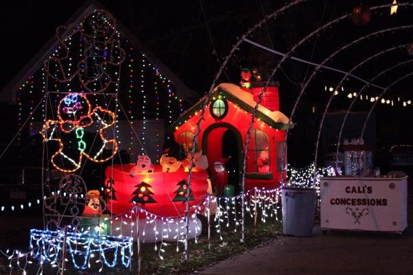 Holt Family Lights