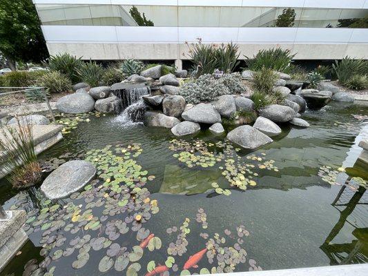 Koi pond with waterfall