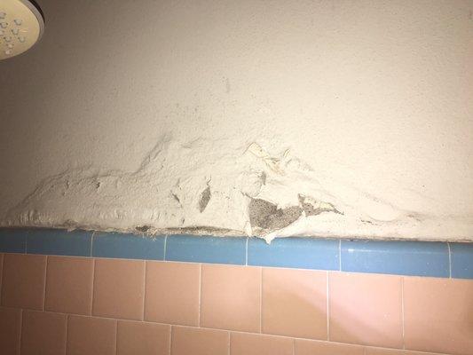 bathroom shower wall (broken or leaking pipe damage)