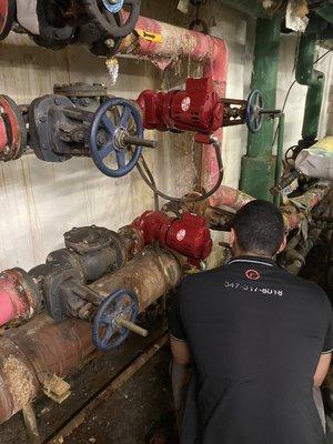 Two B&G pump replacement -alternating pumps for hot water at the Pierre hotel