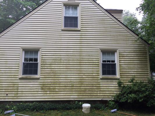 BEFORE 4D - Siding full of mildew and dirt before being washed.