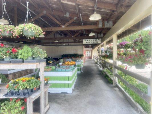 View of some of the flowers available at Skipper Farms