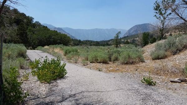 This part of the trail follows a former golf caddy drive.