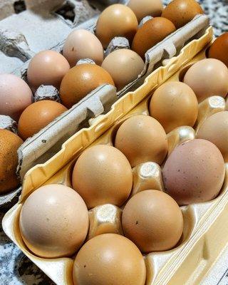 Fresh eggs