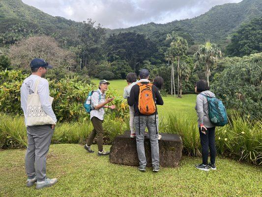 We begin with taking in the entire vista of Lyon Arboretum.