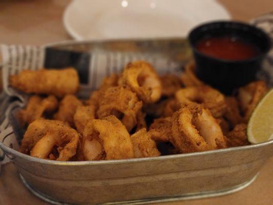 Fried Calamari