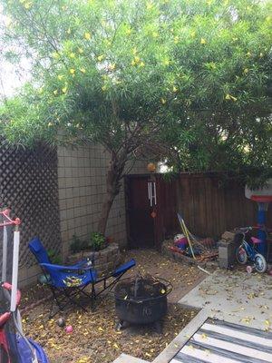 Before (our small and scary patio)