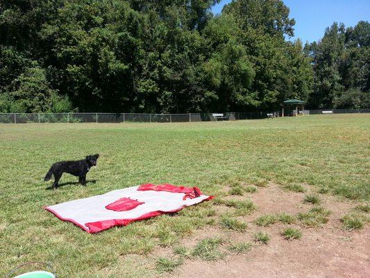 Beautiful day for a run in the park.