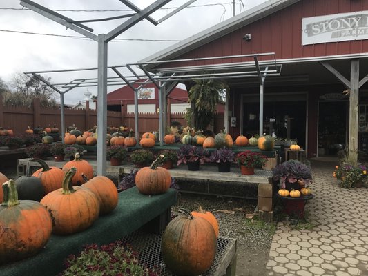 Stony Hill Farm Market