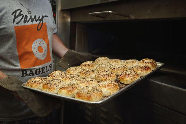 Everything bagels hot out of the oven