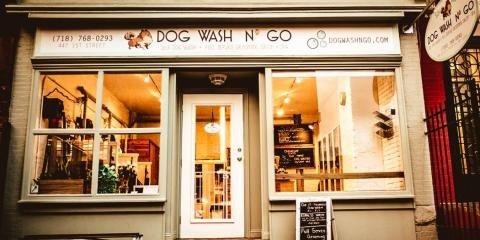 Dog Wash N' Go