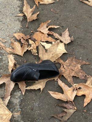 Cinderella's Shoe lost after the Ball dropped