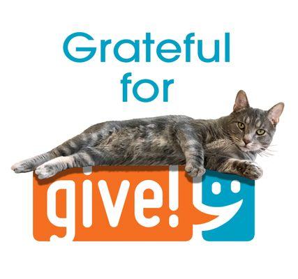 We are always grateful for IndyGive!