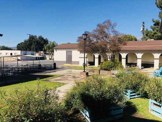 Garden and Lunch Area