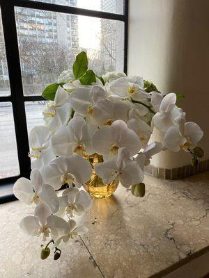 Flower flower arrangement orchids