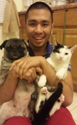 Johnny and the diva pug  Sabby with his 007 kitty james bond kitty