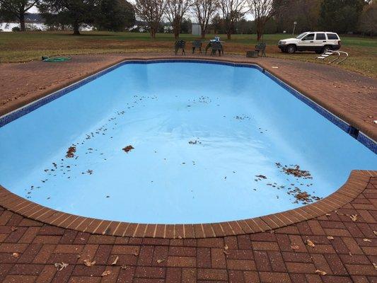 Concrete pool surface remodel! (Leaves fell into the pool)