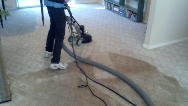 Carpet cleaning with rotovac