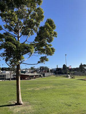 This park is pretty big.