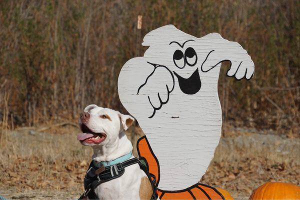 Truman loves friendly ghosts