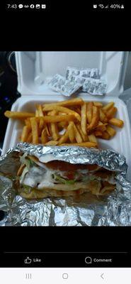 Falafel gyros with fries