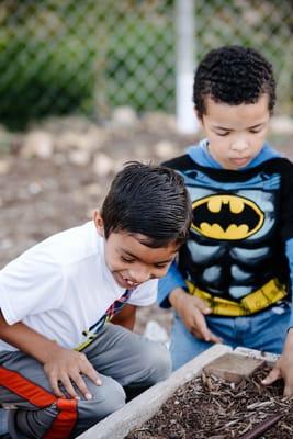 Wasatch Community Gardens