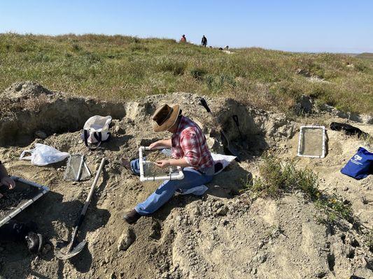 sifting and looking for fossils using the provided sifters.