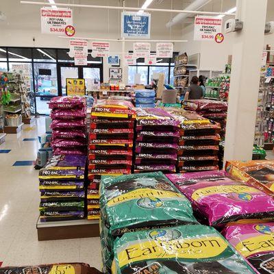 bulk food and checkout counter