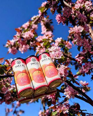 Rosé Cider and Bloom