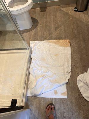 Issues with floor leaking dirty water