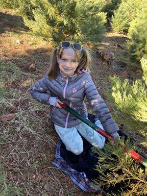 Bramble Hill Christmas Tree Farm