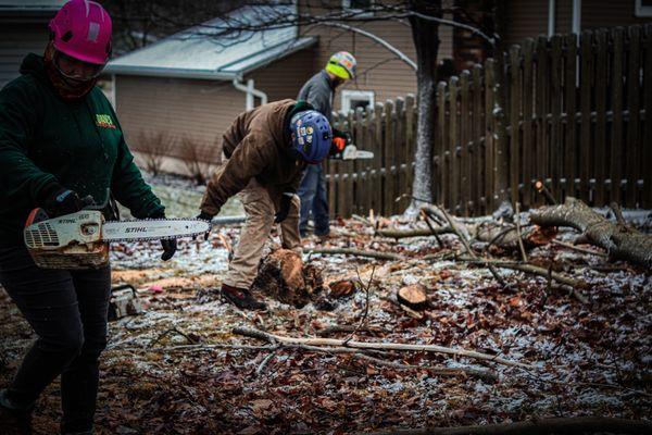 some of the crew from Dave's Tree Removal! Teamwork makes the dream work! #Medina