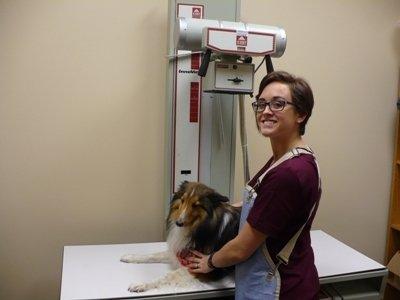 Radiology--Again, my dog Chip wants off that table:)