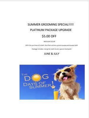 Check out our summer specials!