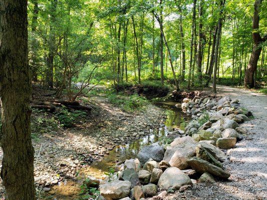 At Charleston Falls Reserve