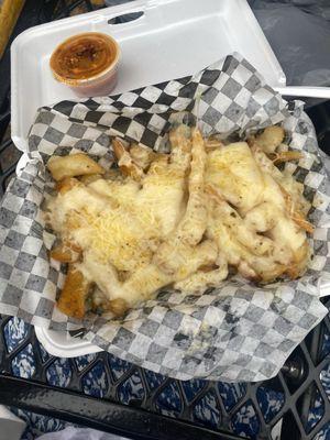 Garlic parmesean fries