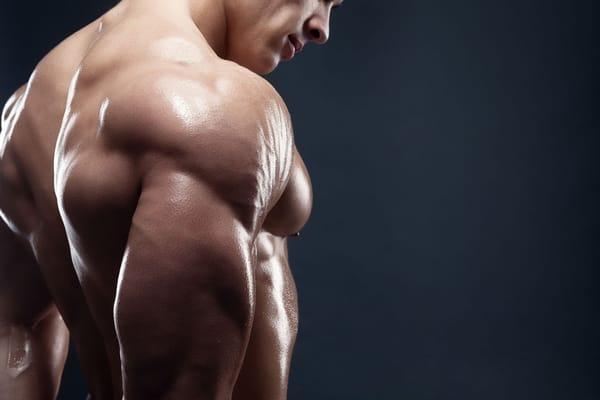 The experts in fat loss and muscle retention