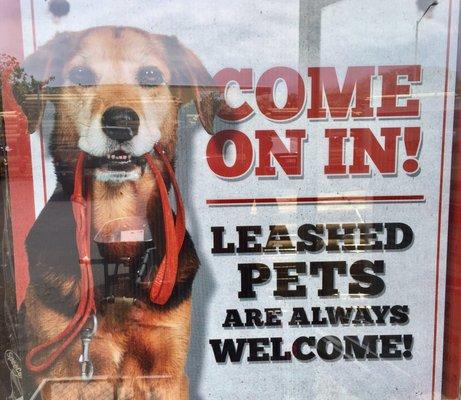 Dogs are welcome!