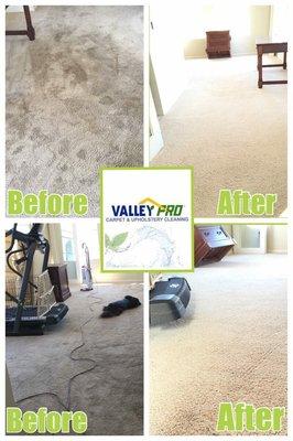 I made this collage for valley pro of my carpets so you can clearly see the difference.