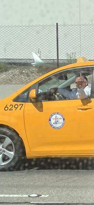 Yellow cab driver who nearly caused an accident