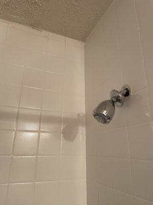 Broken shower head