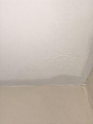 Chipping, cracking ceiling paint.