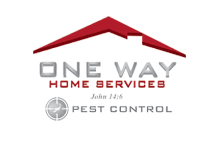 Pest Control Service San Antonio Tx