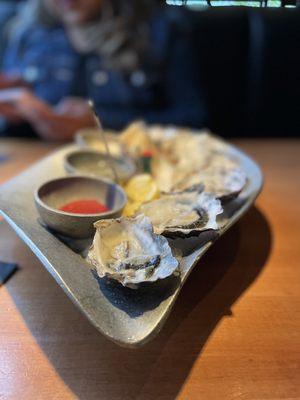 Fresh Oysters on the Half Shell