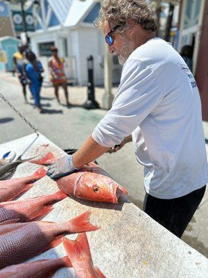 Who's ready for a red snapper dinner?