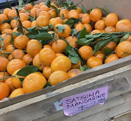 Istanbul Food Bazaar