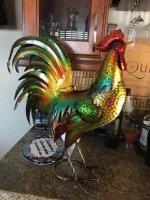 The rooster I picked out.