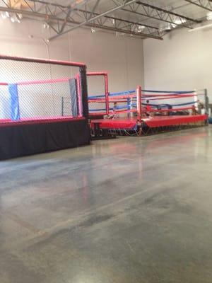 Octagon and boxing ring