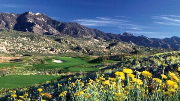 Hit over the small canyon to the par 3 number six at Preserve Golf Club